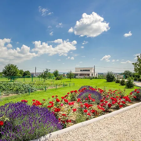 Cserszeg By Interhome * 체르젝토마